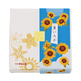 夏いろか　11個入