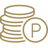 ポイントアイコン