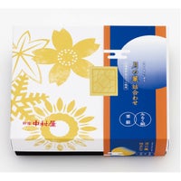 新宿中村屋　月の菓詰合わせ　10個入り（蓋を閉じた状態）。上品な化粧箱に詰め合わせた、贈答用にも人気の焼き菓子アソートギフト